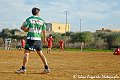 _DSC9944