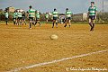 _DSC9948