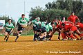 DSC_9766