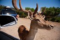 _DSC0257