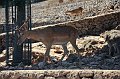 _DSC0297
