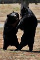 _DSC0610