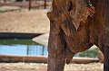 _DSC0625