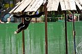 _DSC1190