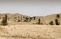 _DSC3801