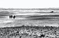 _DSC4058