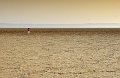 _DSC4159