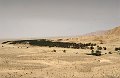 _DSC4410
