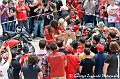 DSC_3381